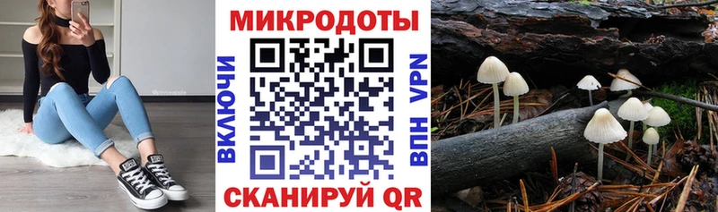 мориарти состав  Далматово  Галлюциногенные грибы Cubensis 